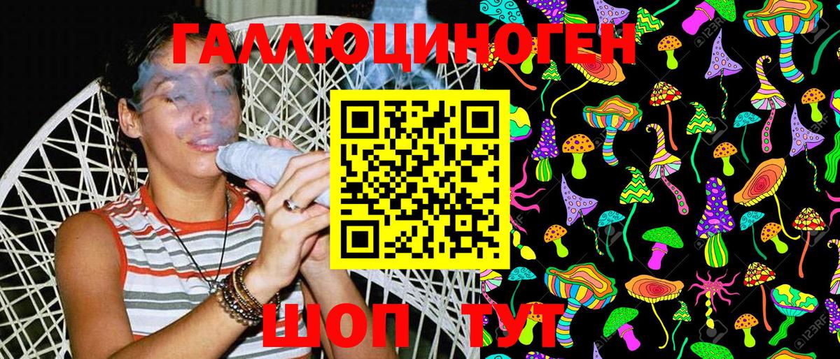 Галлюциногенные грибы Psilocybe  Галлюциногенные грибы Psilocybe  где купить наркоту  Заводоуковск  Вход с VPN 